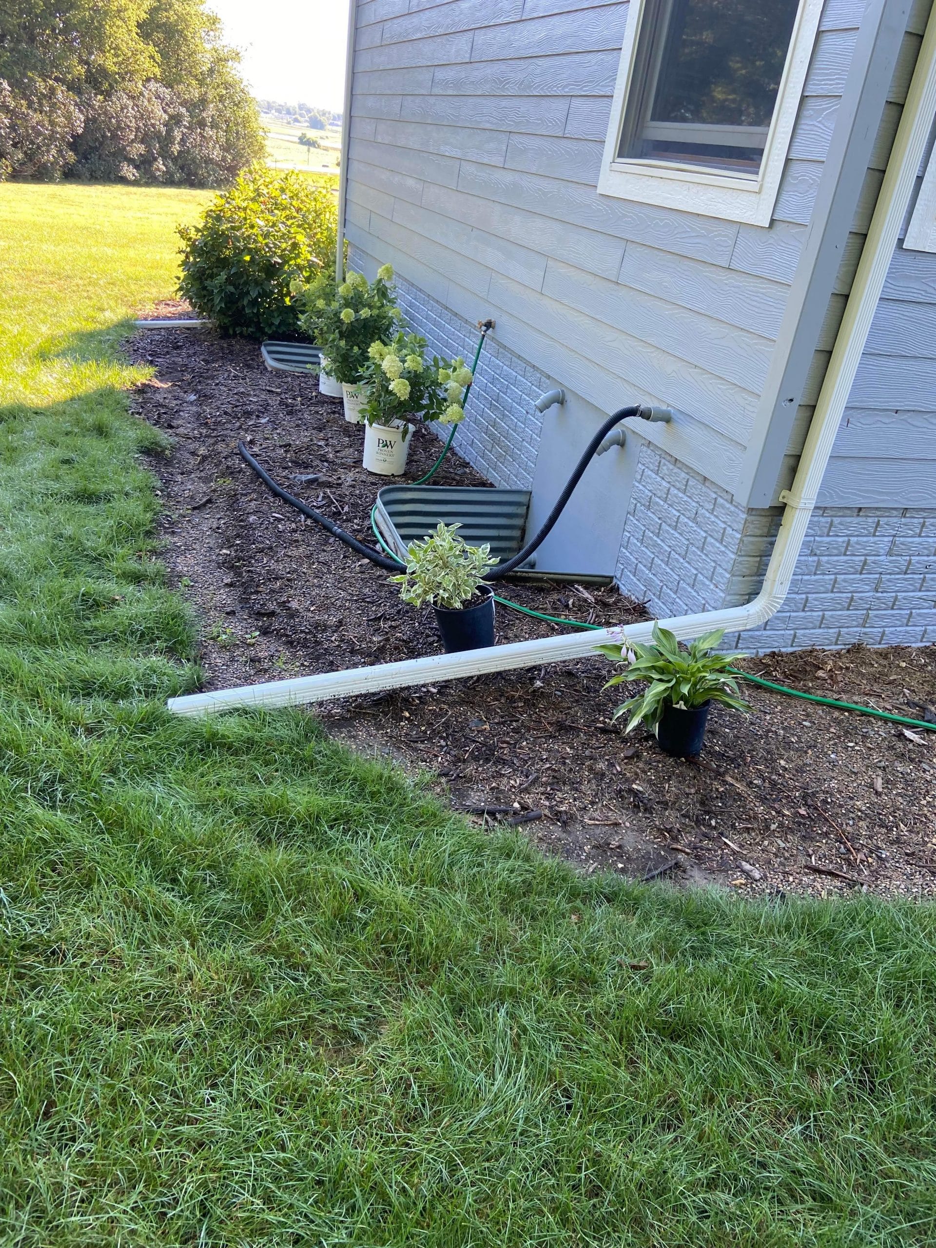 Mulch and Edging before